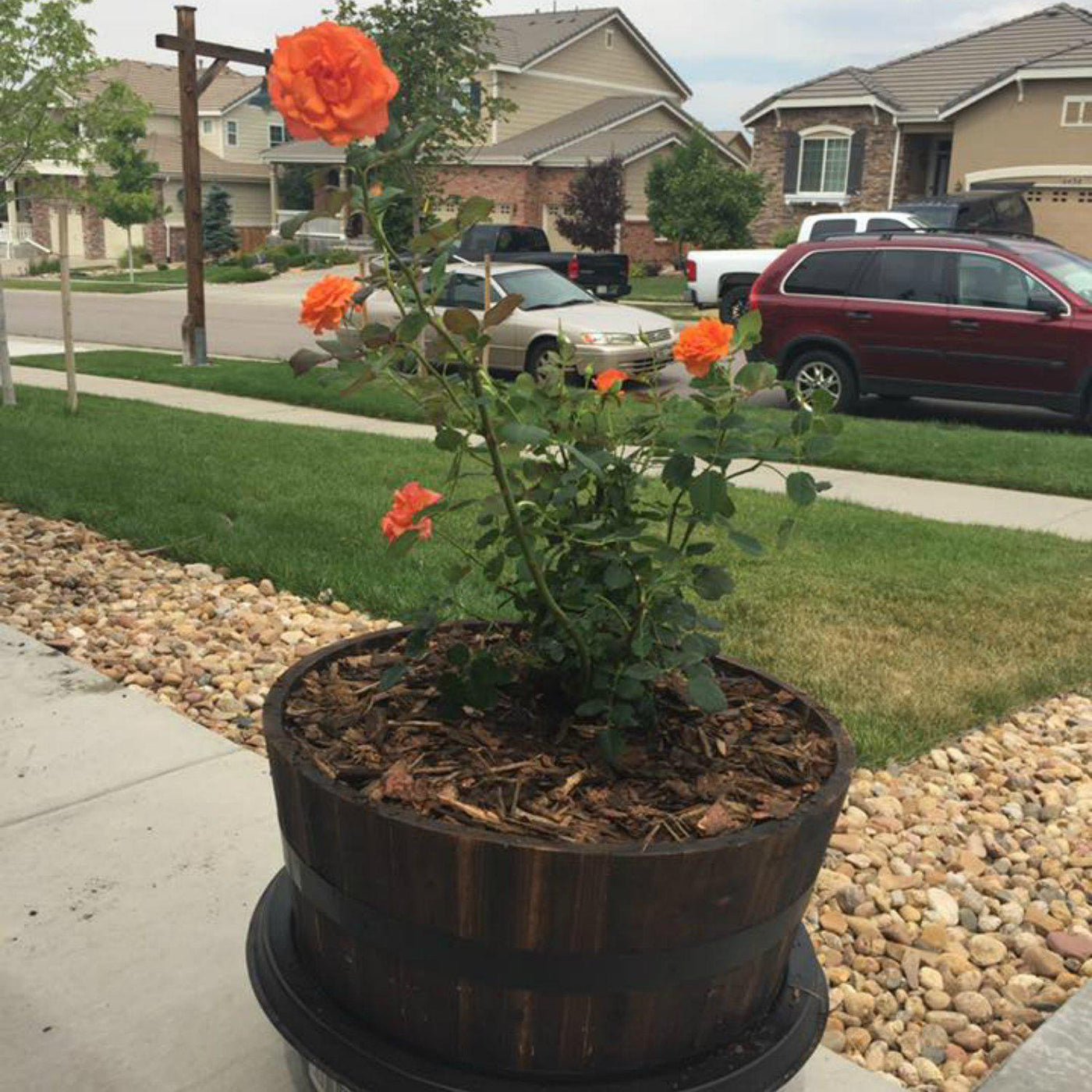 Living Urn System Only (use with your own tree, plant or flowers) - 5280