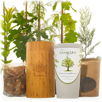 The Living Urn with a Voucher for a Tree - Belk